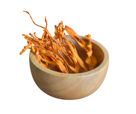 Cordyceps: il Fungo Medicinale della Performance Fisica