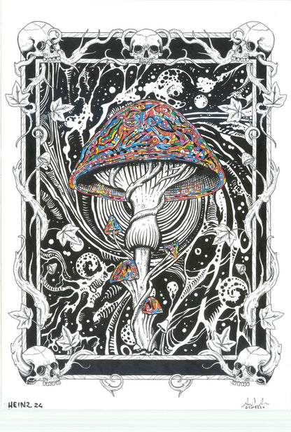 GEMELLO X HEINZTATTOO X MUSH-X